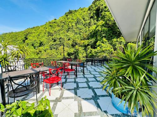 The Paddy Catba in Cat Ba Island The Paddy Catba in Cat Ba Island