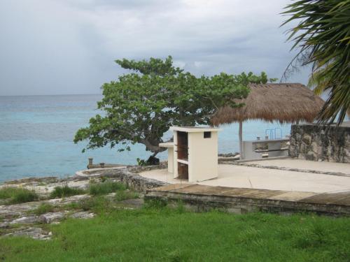 Kert, Condumel in Cozumel Kert, Condumel in Cozumel