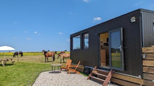Tiny House La Cavalerie, au milieu des chevaux ! in Mentheville Tiny House La Cavalerie, au milieu des chevaux ! in Mentheville