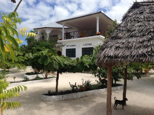 This photo about Mfumbwi lodge shared on HyHotel.com