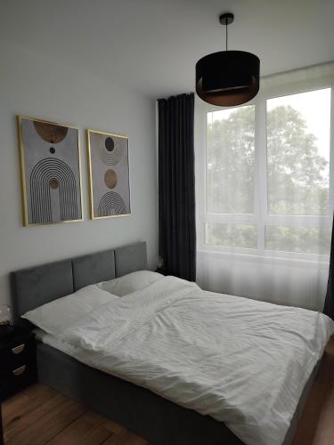 Warsaw Loft Apartment - Grill Terrace on the Roof