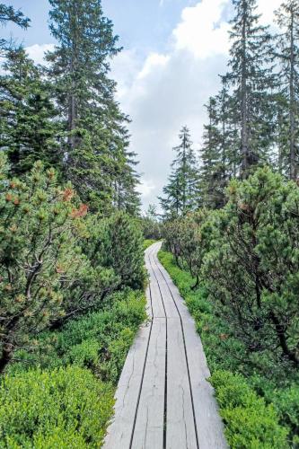 Chalet Bolkov by Interhome in Rudnik Chalet Bolkov by Interhome in Rudnik