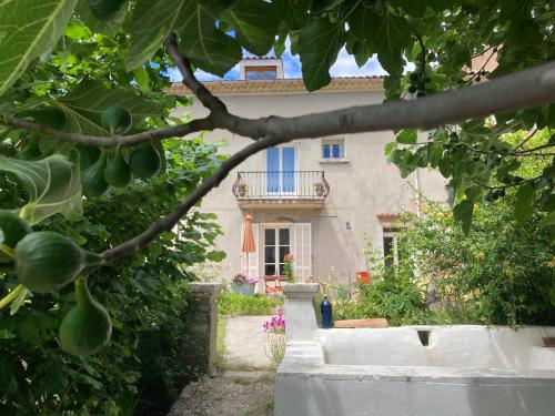 tuin, Le Couvent des Ecrevisses in Barjols tuin, Le Couvent des Ecrevisses in Barjols