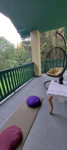 Žalioji vila (Zalioji vila) in Patunkiškiai Žalioji vila (Zalioji vila) in Patunkiškiai