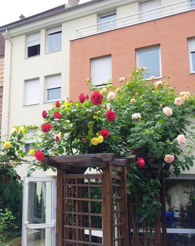 View, Residence Erasmus in Malakoff View, Residence Erasmus in Malakoff