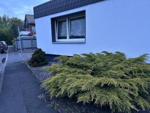 Schöne und ruhige Wohnung (Schone und ruhige Wohnung) in Kamen Schöne und ruhige Wohnung (Schone und ruhige Wohnung) in Kamen