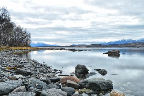 plaža, Hakøyveien 151, Tromsø in Kvaloysletta plaža, Hakøyveien 151, Tromsø in Kvaloysletta