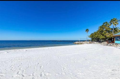Perfect getaway with pool, hot tub and world class views in Ruskin (FL) Perfect getaway with pool, hot tub and world class views in Ruskin (FL)