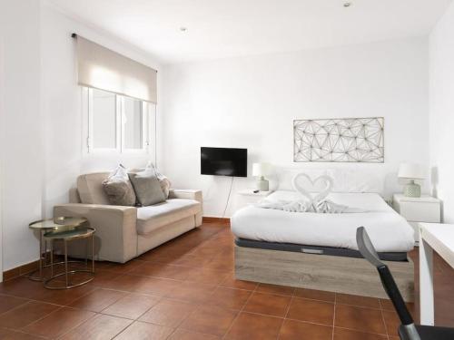 Centrally located studio in Madrid - 382