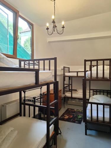 Downtown Hostel in Brasov Downtown Hostel in Brasov