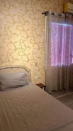 apartment in downtown Champollion street