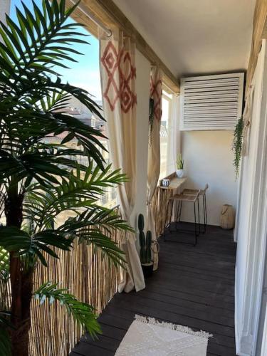 La French Casa GP Star