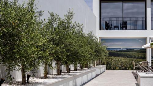 Facilities, Evora O Cante Hotel in Evora Facilities, Evora O Cante Hotel in Evora