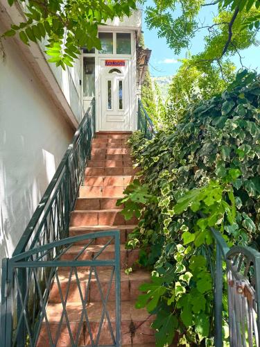 Pintu masuk, KotorHostelito in Dobrota Pintu masuk, KotorHostelito in Dobrota