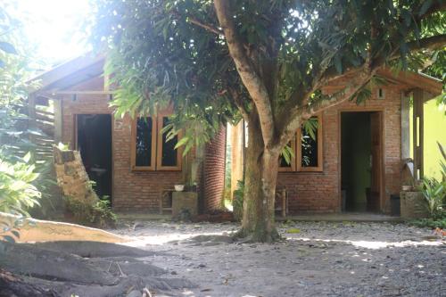 Jhony's Backpacker-Guest House in Bukit Lawang Jhony's Backpacker-Guest House in Bukit Lawang