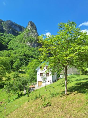 Vedere, Vila Montana in Dobrilovina Vedere, Vila Montana in Dobrilovina