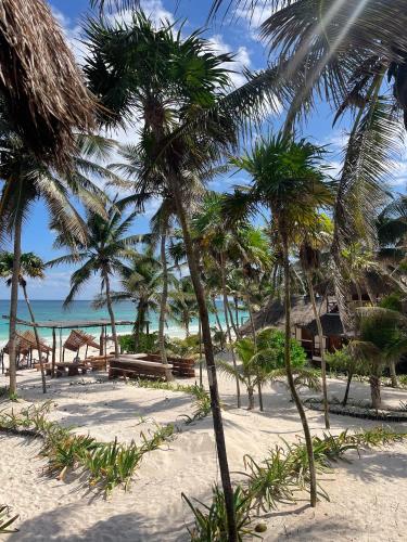View, BT Live Tulum located at the party zone in Tulum View, BT Live Tulum located at the party zone in Tulum