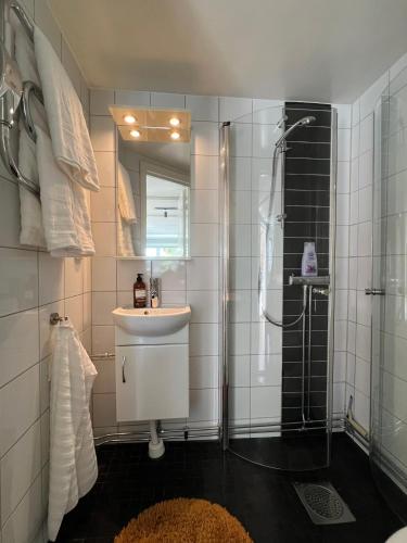 Basta laget i Kalmarsundsparken in Tegelviken-Gamla Staden Basta laget i Kalmarsundsparken in Tegelviken-Gamla Staden