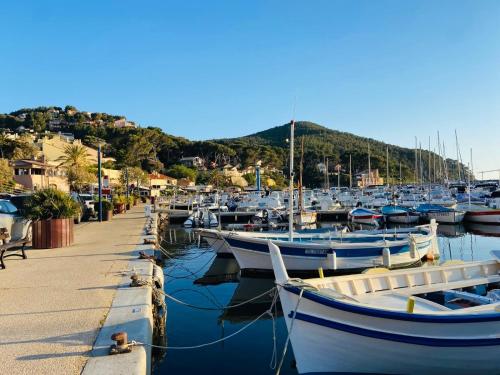 Studio cosy en bord de mer in Les Cartelliers Studio cosy en bord de mer in Les Cartelliers