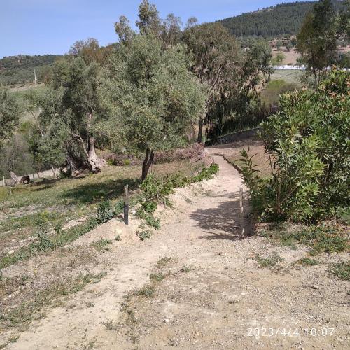 Domaine des Sloughis in Moulay Idriss Domaine des Sloughis in Moulay Idriss