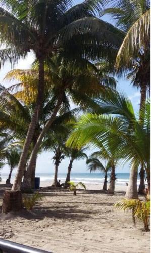 Two bedroom Furnished apartment in Tela Two bedroom Furnished apartment in Tela