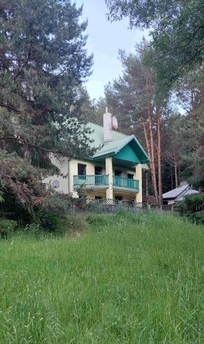 Žalioji vila (Zalioji vila) in Patunkiškiai Žalioji vila (Zalioji vila) in Patunkiškiai