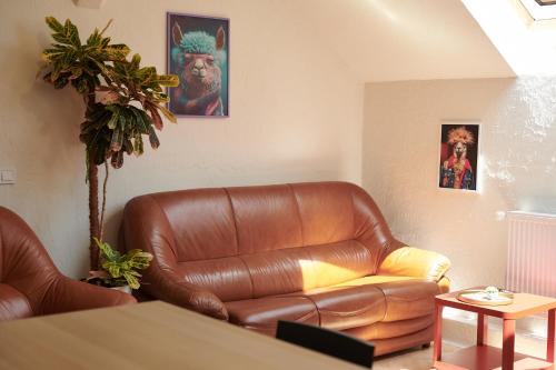 Lama Hostel in افان-وفرنكفسك Lama Hostel in افان-وفرنكفسك