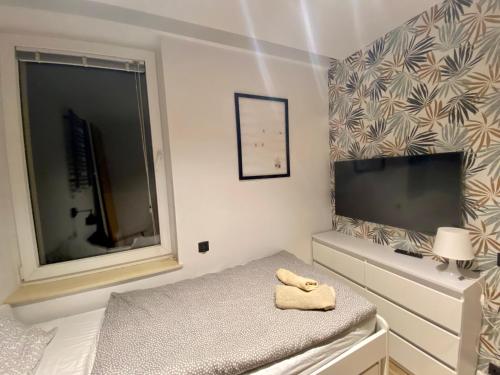 NICE TO HOST YOU - Old Town Apartment