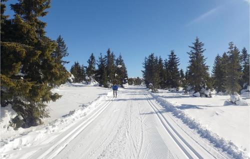Παροχές, Amazing Home In Sjusjøen With Wifi in Σιουσοεν Παροχές, Amazing Home In Sjusjøen With Wifi in Σιουσοεν