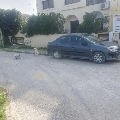 Agreable maison pour vos vacances in Gammarth Agreable maison pour vos vacances in Gammarth