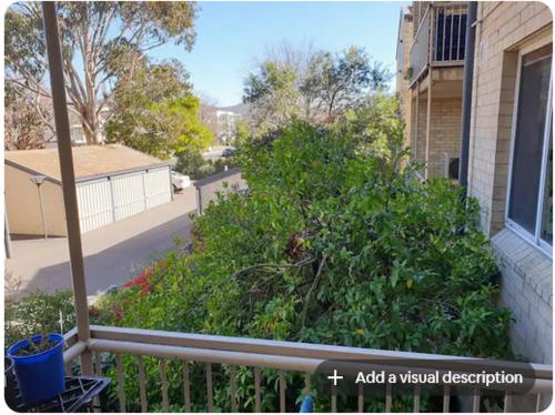 Dana-Private Room in 3-Bedroom Apartment-1 in تيرنر Dana-Private Room in 3-Bedroom Apartment-1 in تيرنر