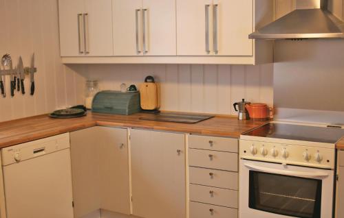 مطبخ, Holiday Home Rauland With Fireplace Viii in رولاند مطبخ, Holiday Home Rauland With Fireplace Viii in رولاند