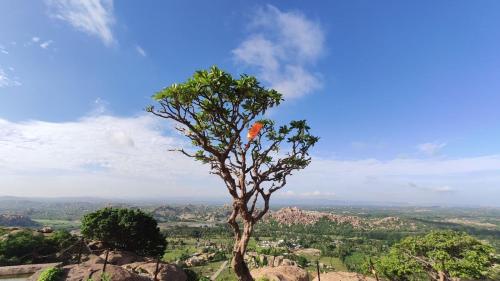 酒店活動, Peshagar Guest House in 哈姆比 酒店活動, Peshagar Guest House in 哈姆比
