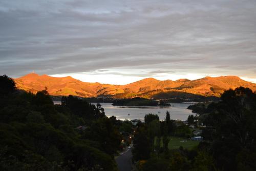 View, Treetops B&B in Portobello View, Treetops B&B in Portobello