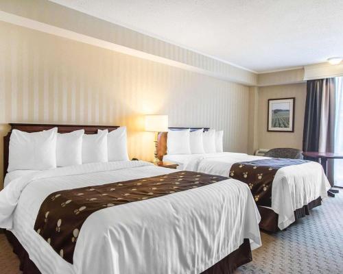 كواليتي إن آند سويتس داون تاون (Quality Inn & Suites Downtown) in Charlottetown City Center كواليتي إن آند سويتس داون تاون (Quality Inn & Suites Downtown) in Charlottetown City Center