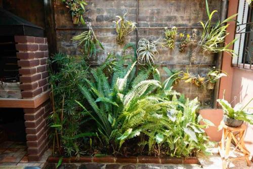 Spacious Amazing Vacation House beautiful Backyard in Ataco Spacious Amazing Vacation House beautiful Backyard in Ataco