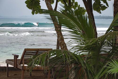 Alentours, Carve Bay Mentawai in Katurai Alentours, Carve Bay Mentawai in Katurai
