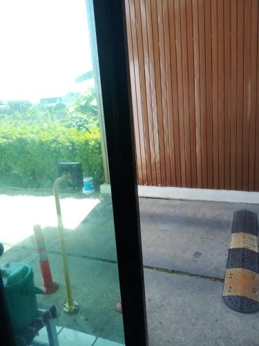 Chao33601 in Kosamphi Nakhon Chao33601 in Kosamphi Nakhon