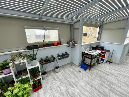 Аппартаменты у моря in Bat Yam Аппартаменты у моря in Bat Yam