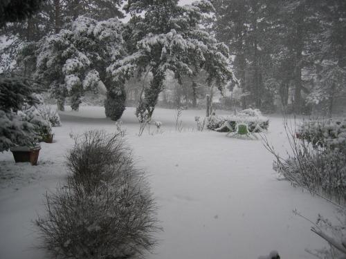 This photo about Le Canard Au Parapluie Rouge shared on HyHotel.com