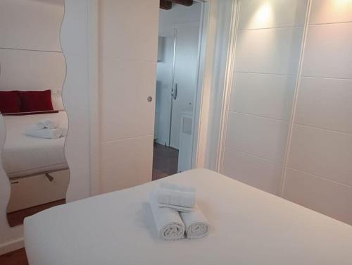 Emblematic flat in Madrid Central - Arenal