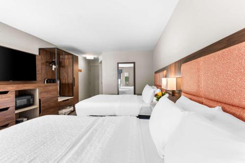 Hampton Inn Knoxville-Airport in Alcoa (TN) Hampton Inn Knoxville-Airport in Alcoa (TN)