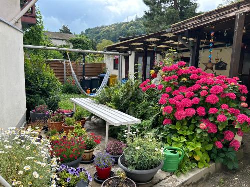 Kert, Privatzimmer mit eigenem Bad und Blick auf den Rhein in Osterspai Kert, Privatzimmer mit eigenem Bad und Blick auf den Rhein in Osterspai