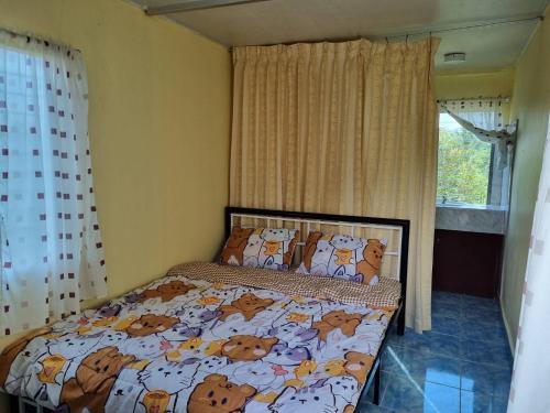 TonNgaChang -Les Cat Cocoa Farmstay in Chalung TonNgaChang -Les Cat Cocoa Farmstay in Chalung