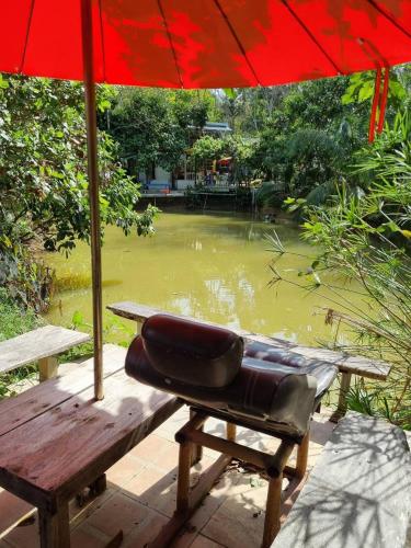Garden, TonNgaChang -Les Cat Cocoa Farmstay in Chalung Garden, TonNgaChang -Les Cat Cocoa Farmstay in Chalung