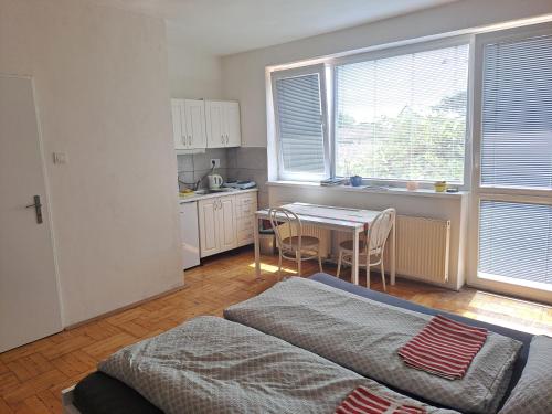 apartmán s krbem (apartman s krbem) in สลาโวนิน apartmán s krbem (apartman s krbem) in สลาโวนิน
