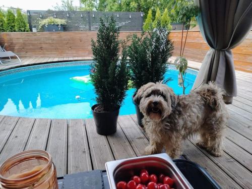 Nice HOME in ชิห์ Nice HOME in ชิห์