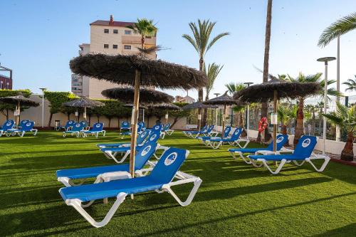 Atracciones, Hotel Playas de Torrevieja in Torrevieja Atracciones, Hotel Playas de Torrevieja in Torrevieja