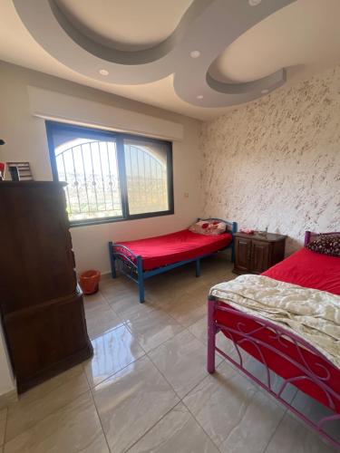 Rooooz in Jerash Rooooz in Jerash