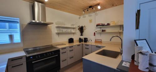 kuchnia, Logement The Black Tie in Assen kuchnia, Logement The Black Tie in Assen